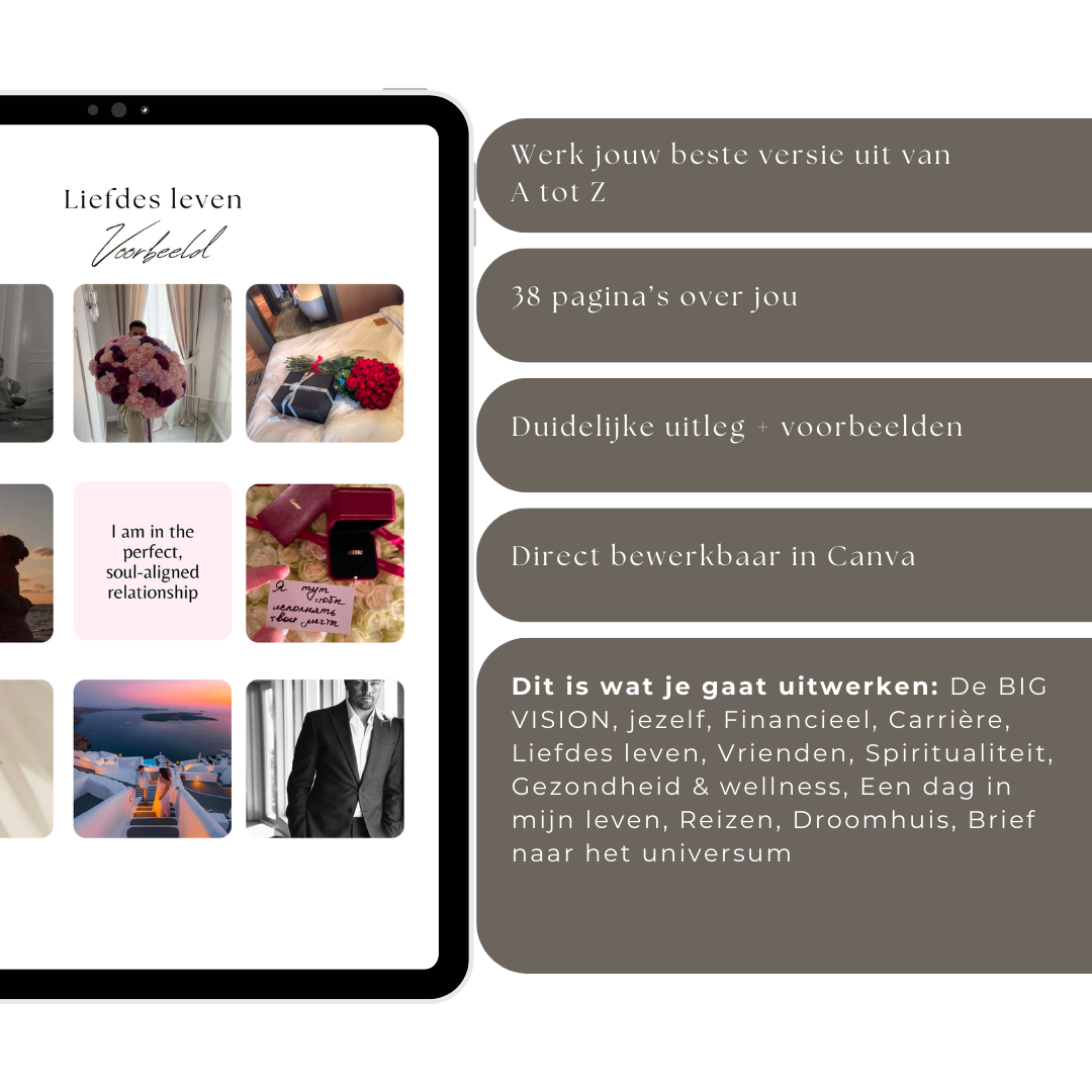 Vision boek guide
